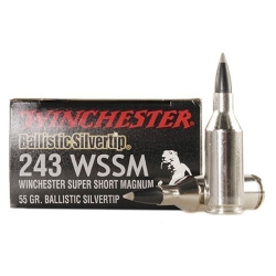 Winchester cal 243 W Super Short Magnum Ballistic Silver Tip 55gr
