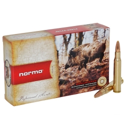 CARIC.NORMA c.30/06 180GR SWIFT A