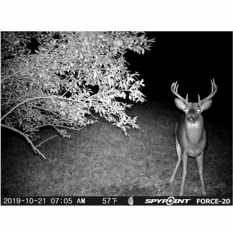 FOTOTRAPPOLA SPYPOINT FORCE 20