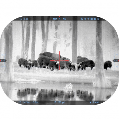 ATN VISORE TERMICO MARS 5