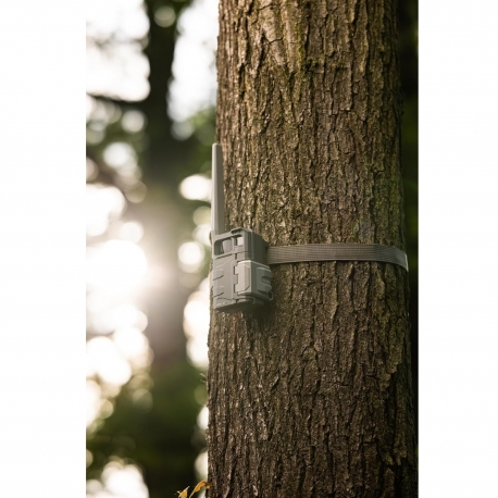 FOTOTRAPPOLA SPYPOINT LM2