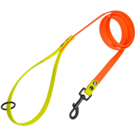 Incisoria Panno Guinzaglio Esagonale Bicolore