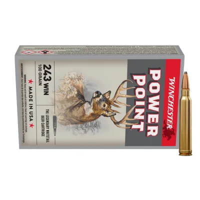Winchester Power Point Cal. 243 Win 100gr